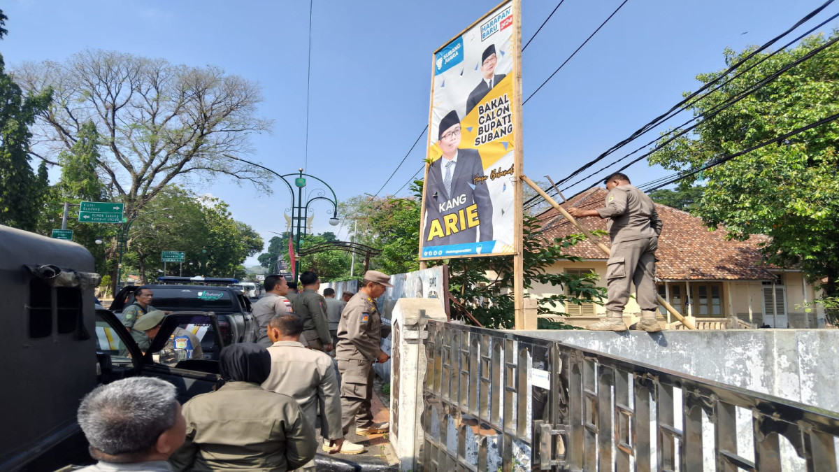 Ganggu Pemandangan, Satpol PP Subang Tertibkan Baligo di Sepanjang Jalan Protokol