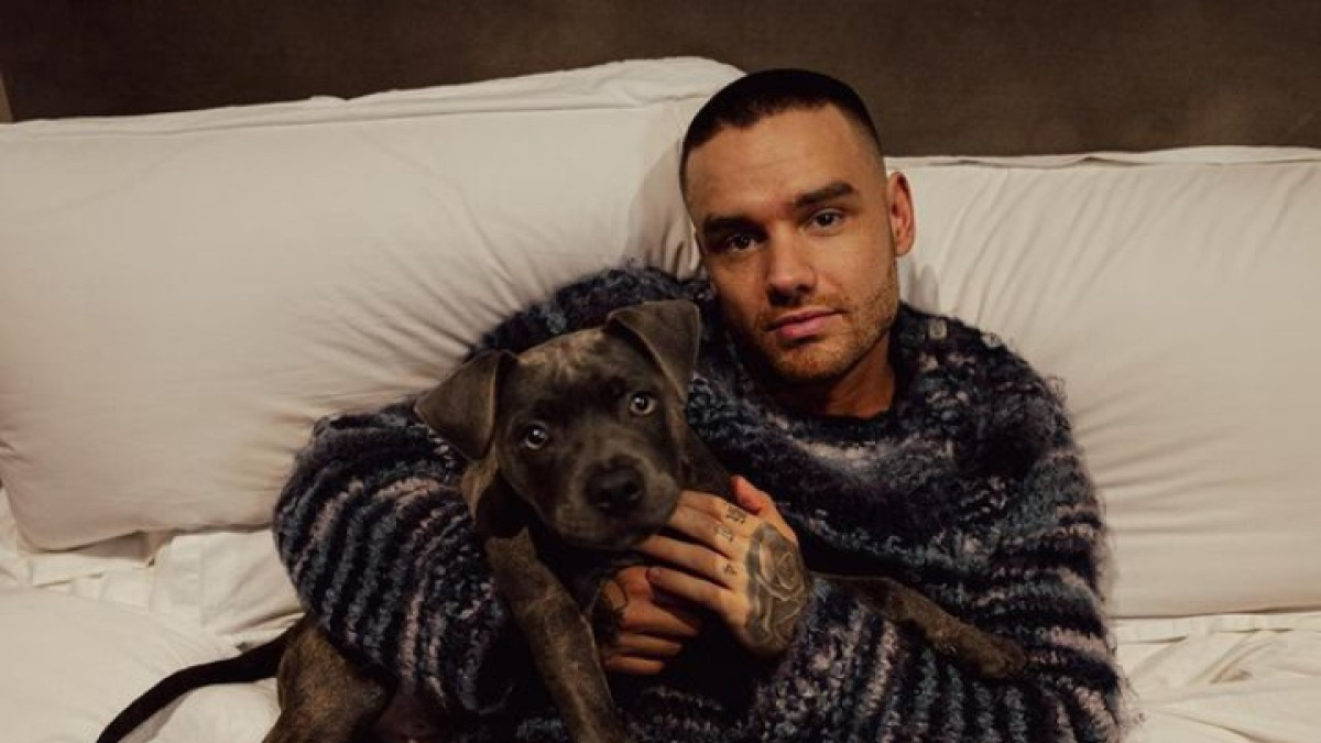 Liam Payne Member One Direction Meninggal Dunia