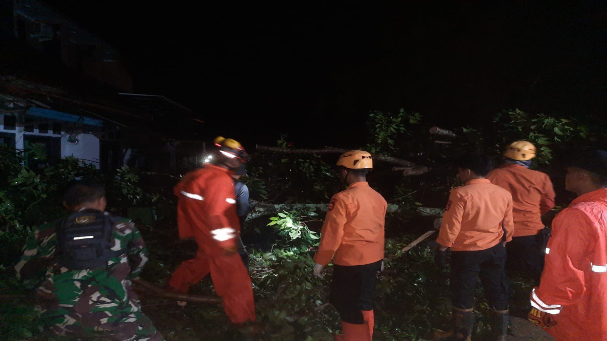 Pohon tumbang di Subang