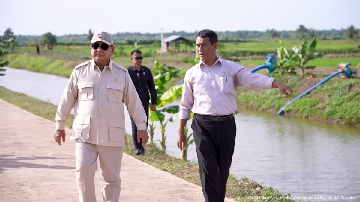 Presiden Prabowo Tinjau Langsung Panen Padi di Merauke