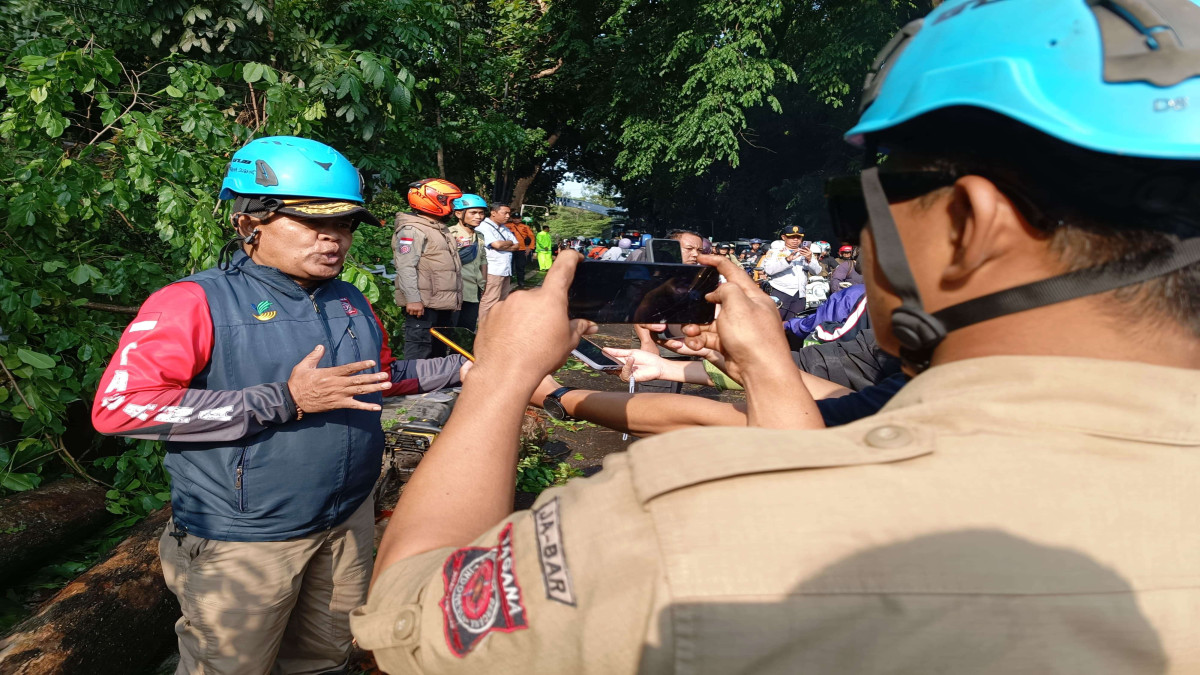 Tagana Subang Ingatkan Pemda Soal Pohon Tua di Jalan Utama, Antisipasi Bencana di Musim Hujan