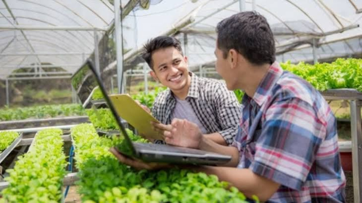 Panduan Lengkap Cara Daftar Petani Milenial 2024: Peluang Generasi Muda di Sektor Pertanian