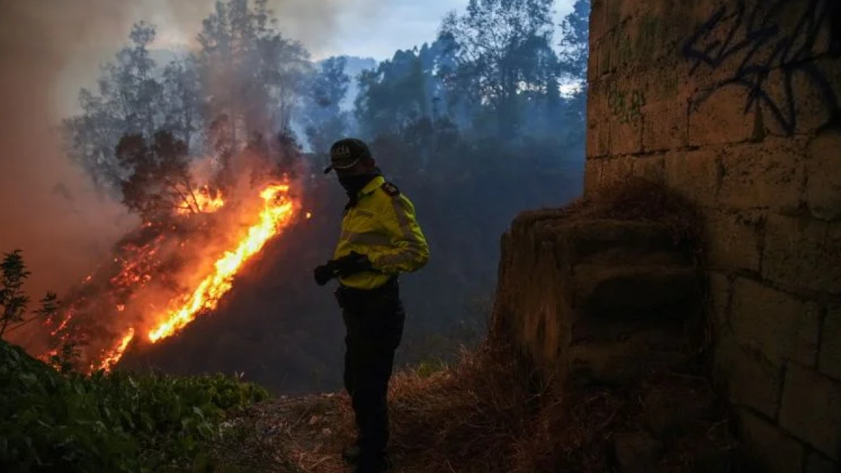 Ekuador Umumkan Keadaan Darurat, Kebakaran Hutan dan Kekeringan menjadi Masalah Serius