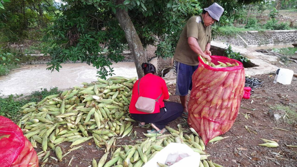 Petani Desa Cidadap