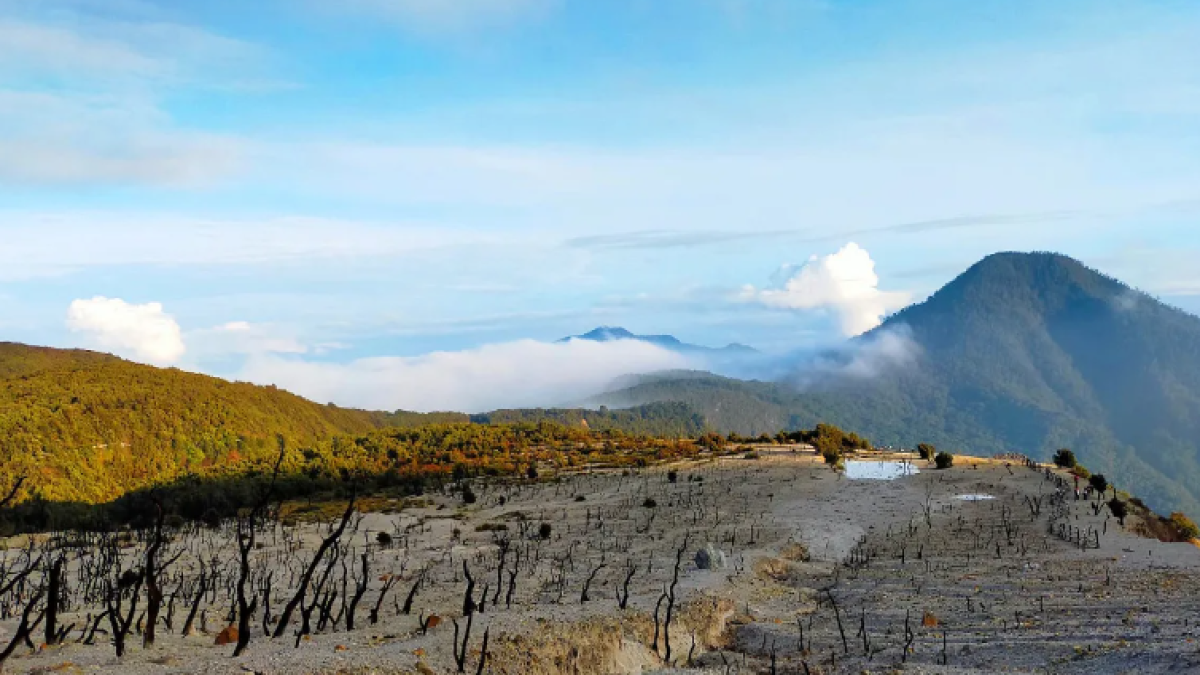 Liburan Sebentar lagi! 5 Tempat Wisata Hits di Garut ini bikin Kamu Berdebar terhadap Pesonanya