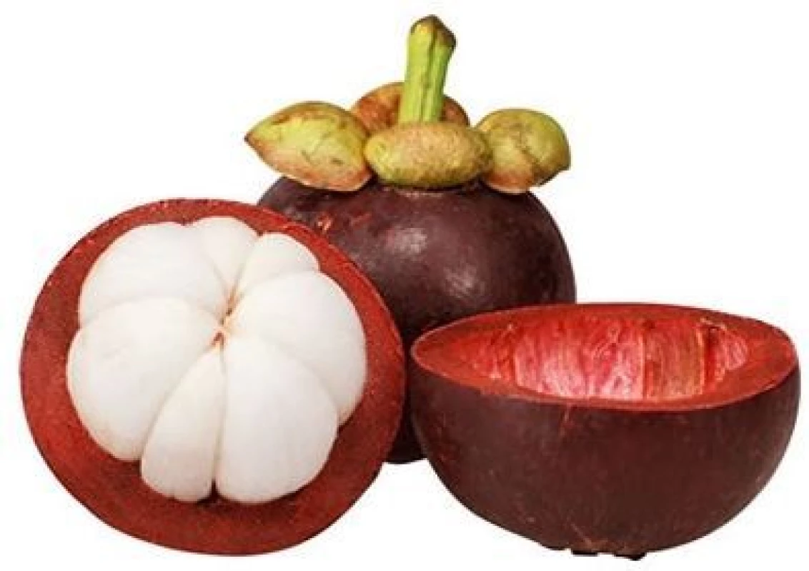 Perlu Banget Kamu Ketahui, Manfaat Buah Manggis yang Baik Untuk Kesehatan Tubuh, Cek