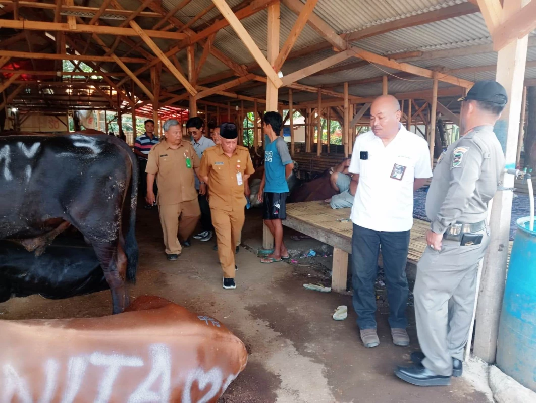 Jelang Idul Adha, Pemkab Purwakarta Terjunkan 88 Petugas, Guna Periksa Kesehatan Hewan Kurban