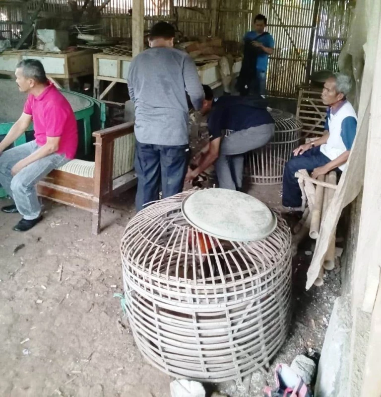 Satreskrim Polres PurwakartaAmankan 11 Pelaku Judi Sabung Ayam