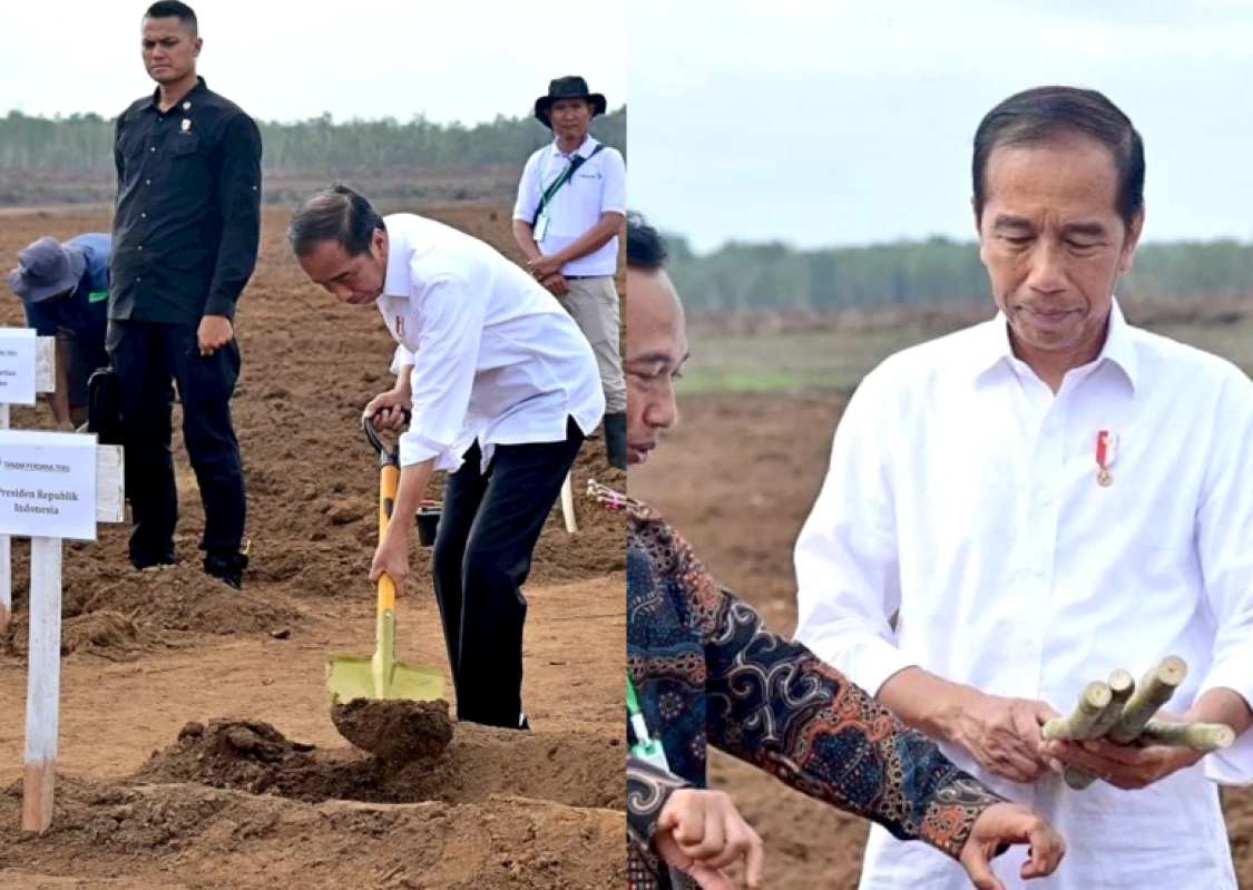 Tanam Tebu Perdana di Merauke, Presiden: Pemerintah Fokus Kembangkan Ketahanan Pangan