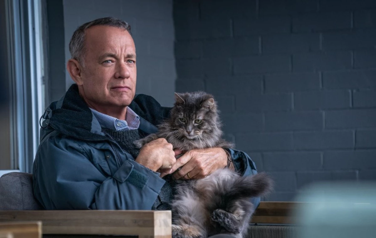 Ada di Netflix Lho! Sinopsis Film A Man Called Otto (2022) yang Dibintangi Tom Hanks