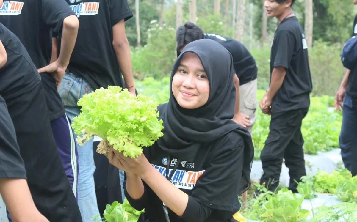 Mengapa Anak Muda Jarang Ingin Menjadi Petani?