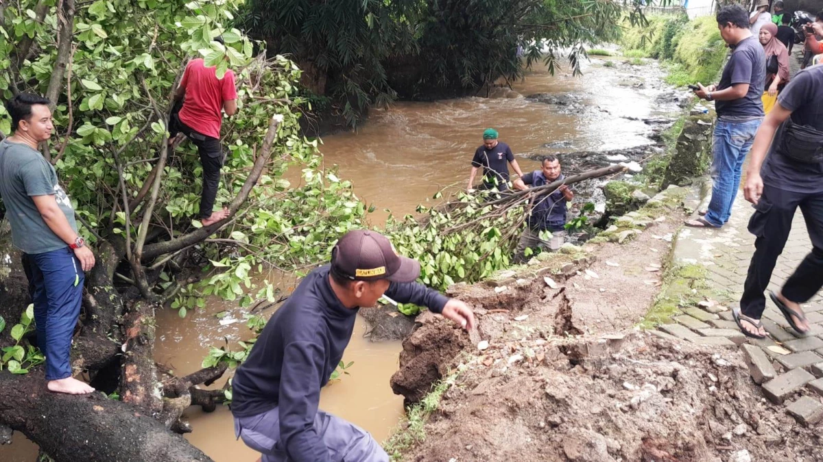 Lurah Sindangkasih Turun ke Sungai Singkirkan Pohon Tumbang