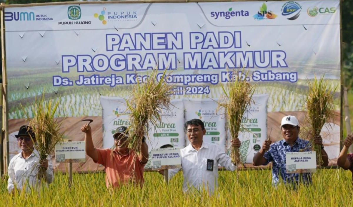 Panen Padi di Kabupaten Subang Desa Jatireja Meningkat Berkat Program Makmur
