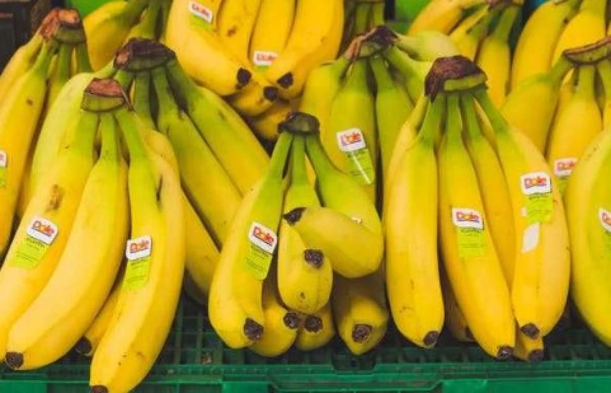 Enak Banget! Resep Bolu Pisang Raja yang nggak Bikin Seret Tenggorokan