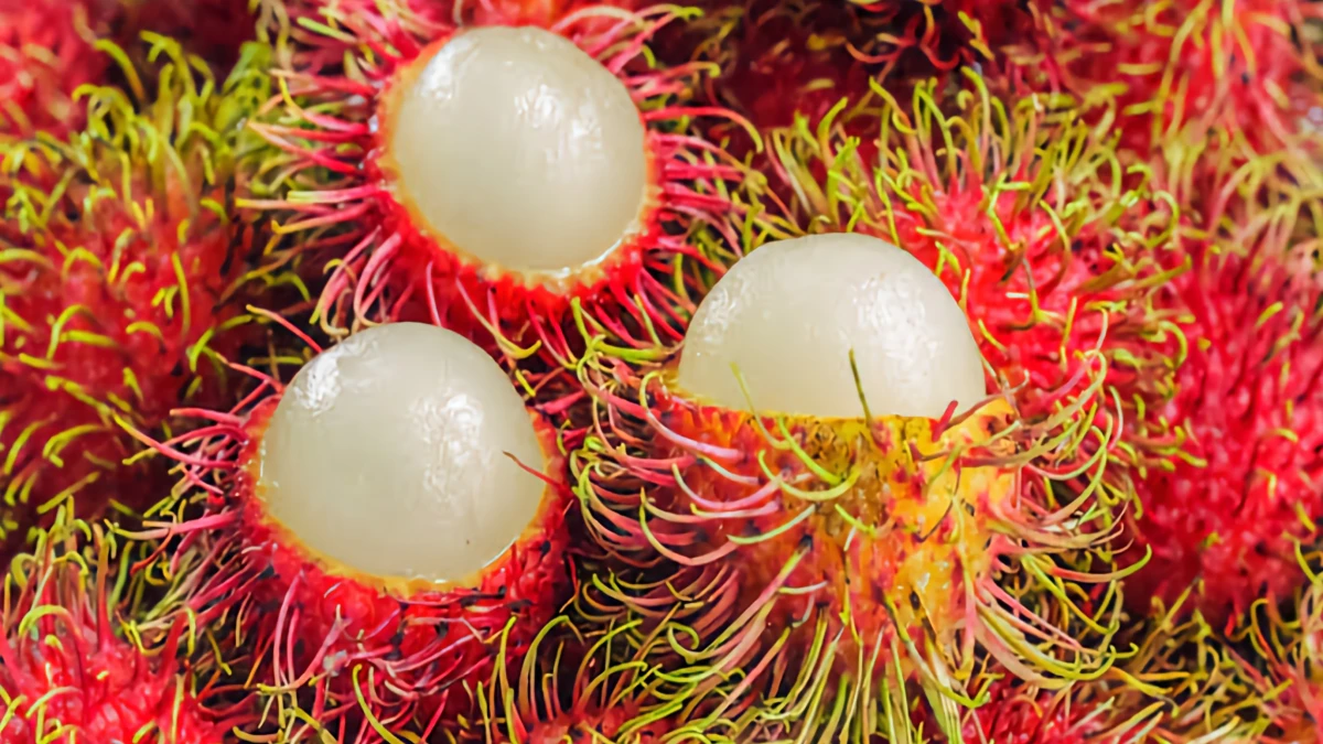 Manfaat Buah Rambutan untuk Kesehatan: Melancarkan Pencernaan hingga Meningkatkan Imunitas