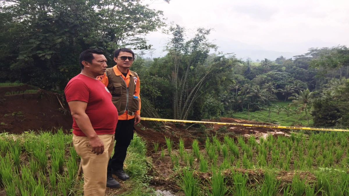 Kampung baba\kan jati desa cisalak