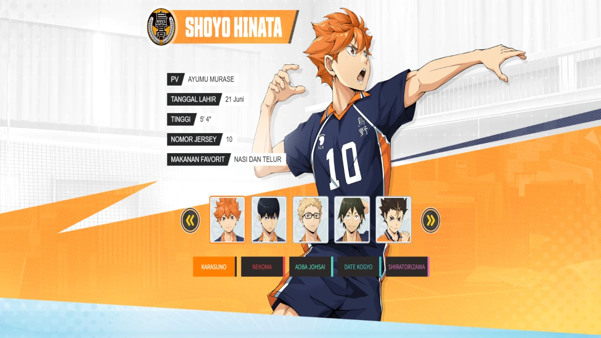 Haikyu Fly High