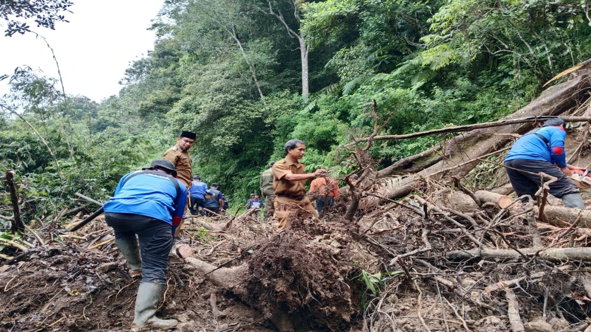 Tanah longsor melanda Jalan Darmaga-Bukanagara, tepatnya di Kampung Pasirbedil, Pengkolan Kujang, Kecamatan Cisalak, pada Selasa, 4 Maret 2025, sekitar pukul 02.00 WIB.