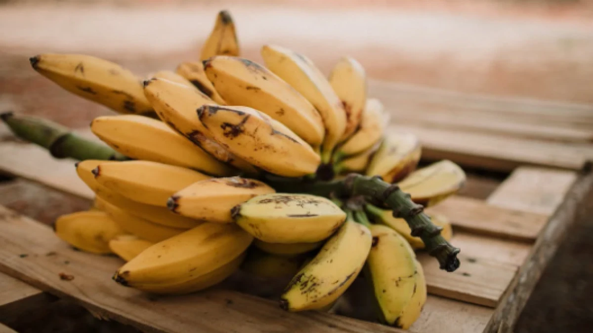 5 Olahan Pisang yang Enak untuk Sajian Berbuka Puasa