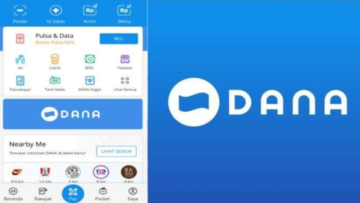 Login DANA di Chrome