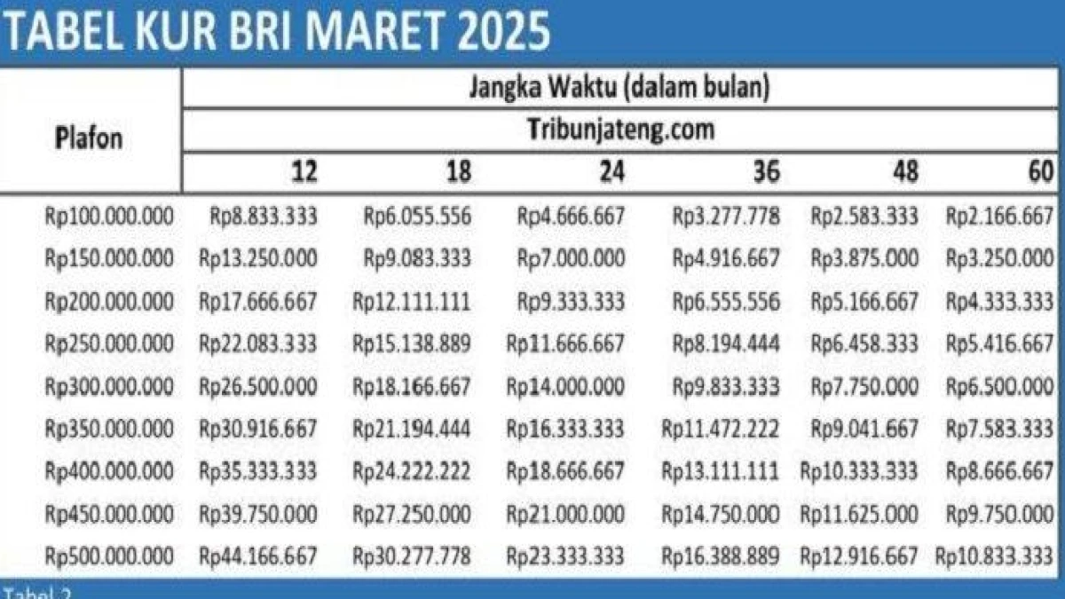 Pinjaman Bunga Rendah Bank BRI dan Panduan untuk Pengajuan Pinjaman yang Cermat