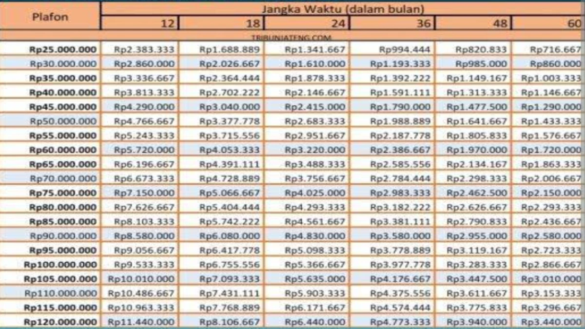 5 Cicilan Pinjaman Bank BNI Non KUR 2025! Yuk Ketahui Syarat dan Cara Pinjamnya Disini!