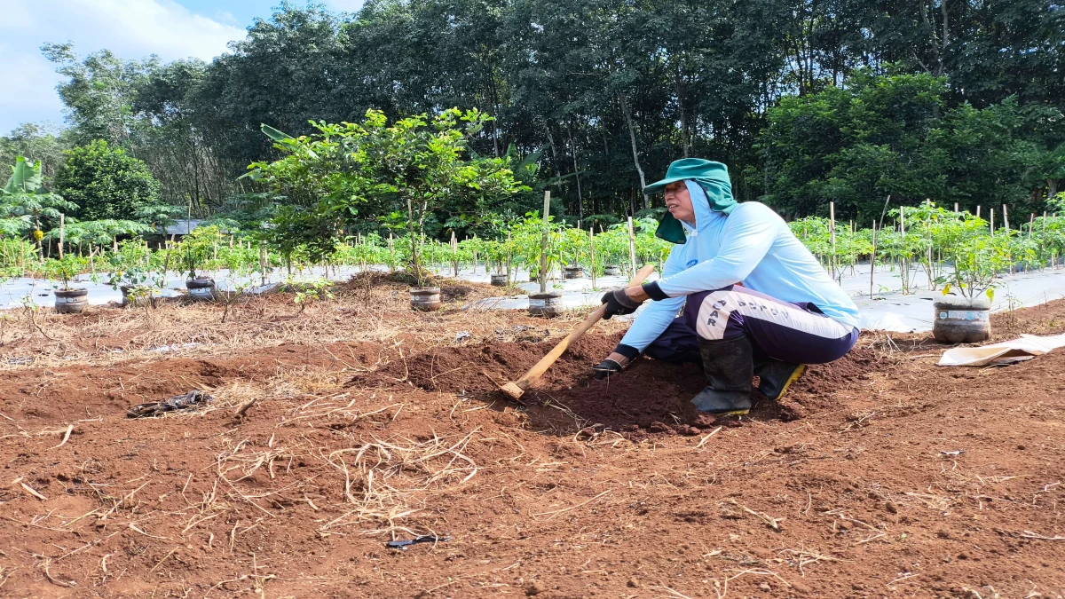 Kisah Hidup AKP Dede Kusyani Jadi Inspirasi, Mengabdi sebagai Polisi Berkarya sebagai Petani