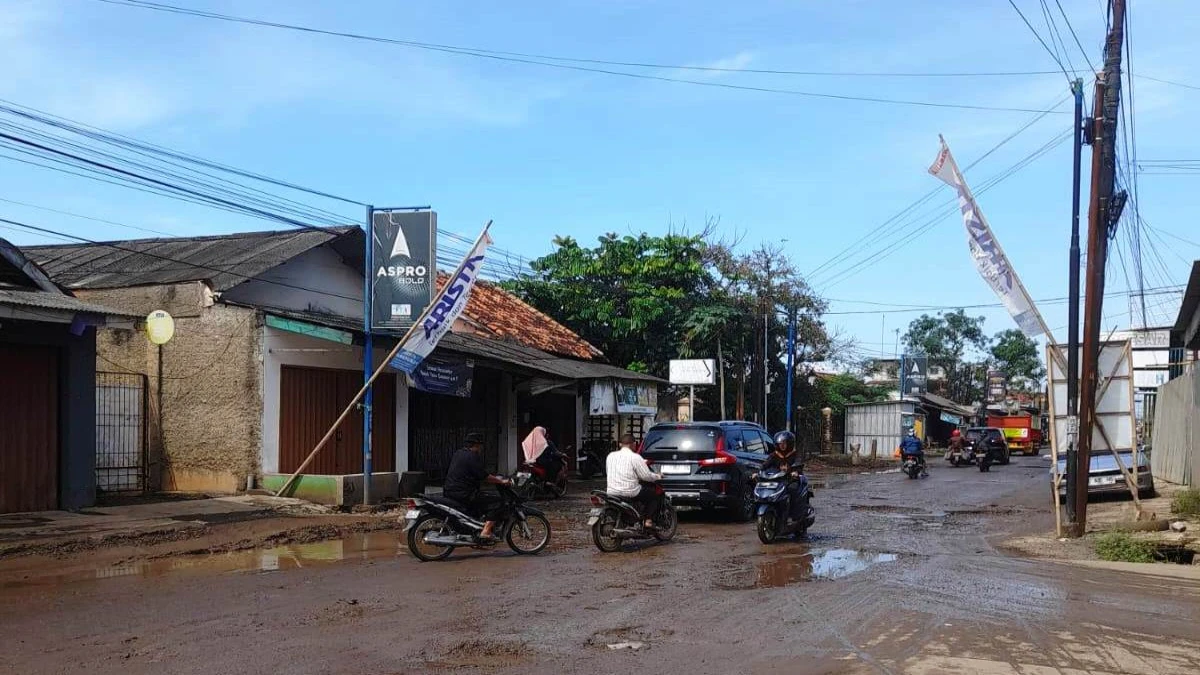 Jalan Provinsi Binong-Pamanukan Subang Rusak Berat, Warga Minta Segera Ada Perbaikan