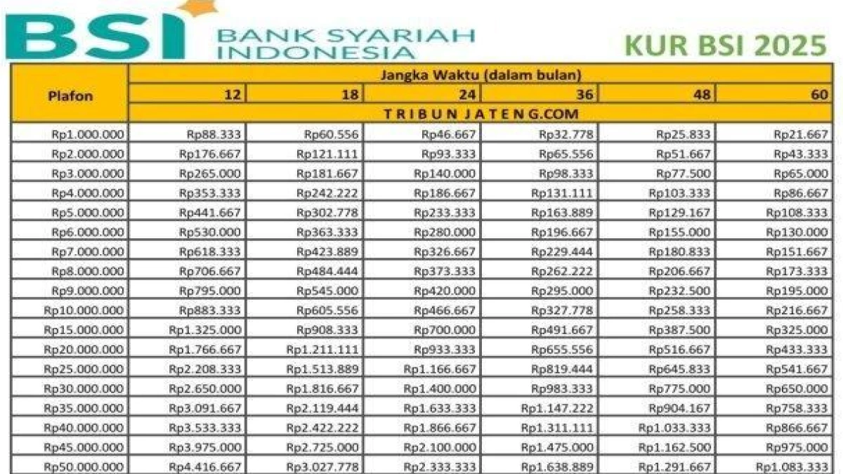 Info Terbaru Tabel Pinjaman KUR Bank BSI Plafon 50 Juta, Cek Syarat & Tabel Angsuran Terbarunya