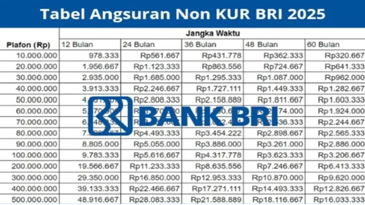 Pinjaman Untuk PNS di Bank BRI Apa Saja? Berikut Plafon, Cicilan, dan Cara Gampang Dapat Duit Tambahan!