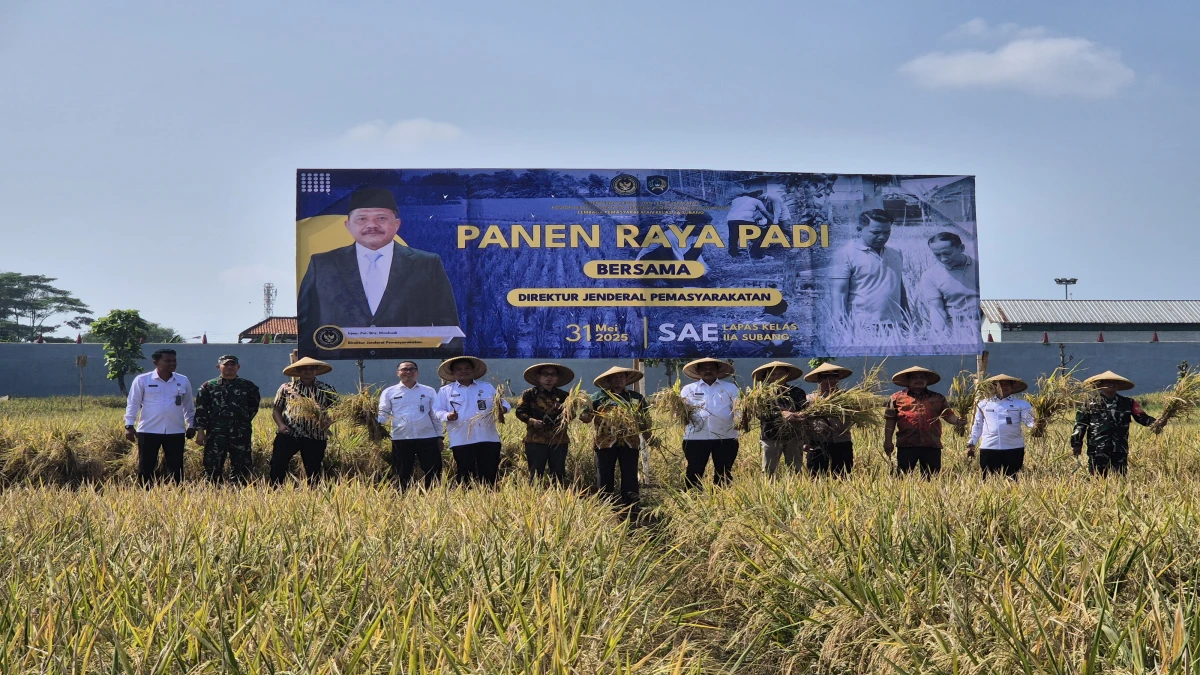 Panen Raya di Lapas Subang, Hasilkan 12 Ton Padi