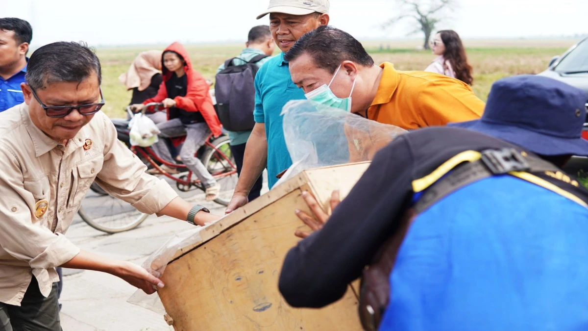 Pemkab Subang Bongkar Bangunan Liar di Bantaran Sungai Anggasari, Dinilai Ganggu Aliran Air dan Lingkungan