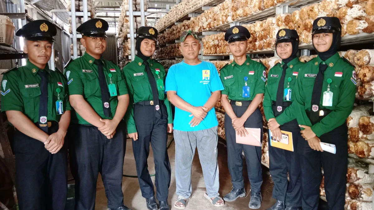Kisah Gatot Pengelola GT Mushroom, dari Karyawan Hingga Menjadi Raja Jamur Tiram di Subang