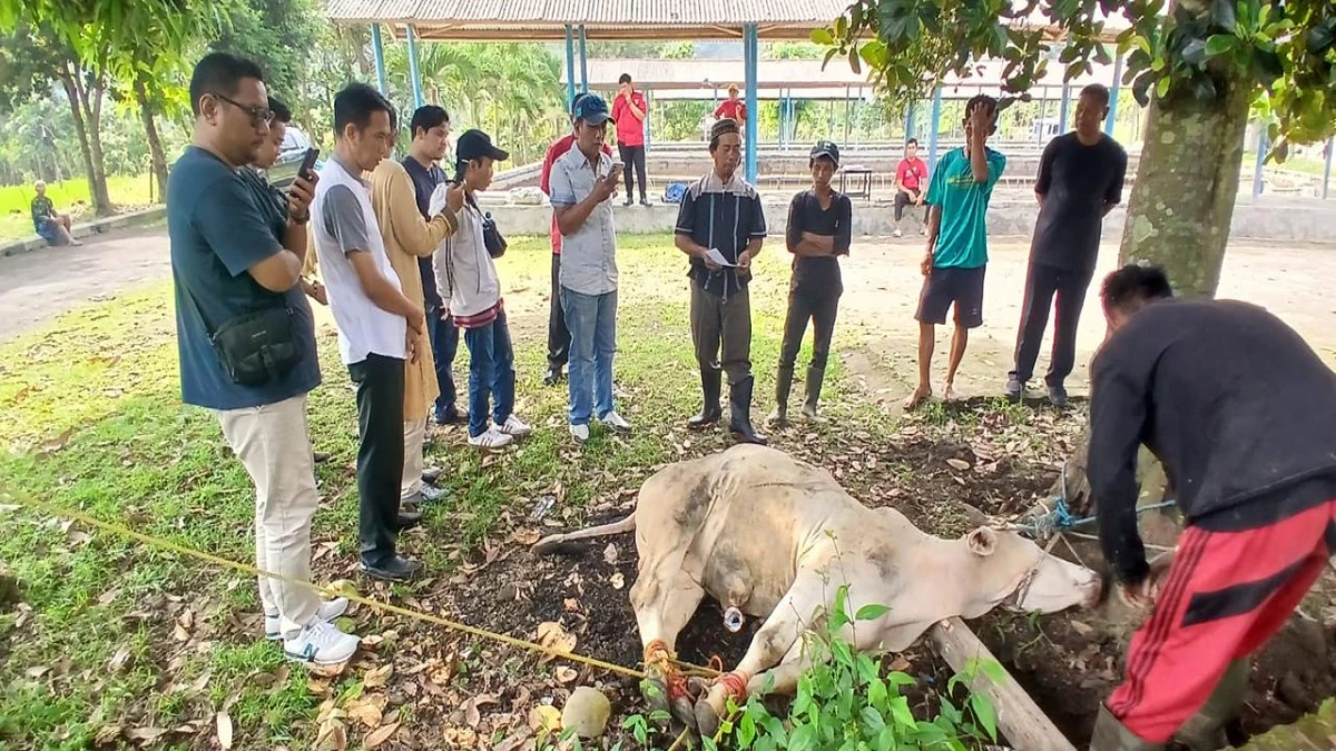 Idul Adha dan Hari Lahir Bung Karno Bertepatan, Nalendra Group Teguhkan Nilai Gotong Royong