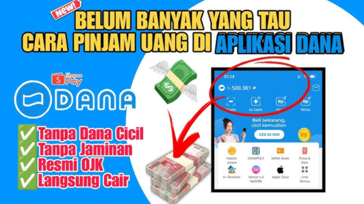 Pinjam Saldo DANA Darurat Rp100.000 Tanpa KTP, Begini Caranya!