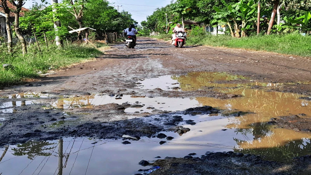 Jalan Penghubung Desa Rancadaka-Patimban Rusak, Warga Minta Pemkab Subang Segera Perbaiki