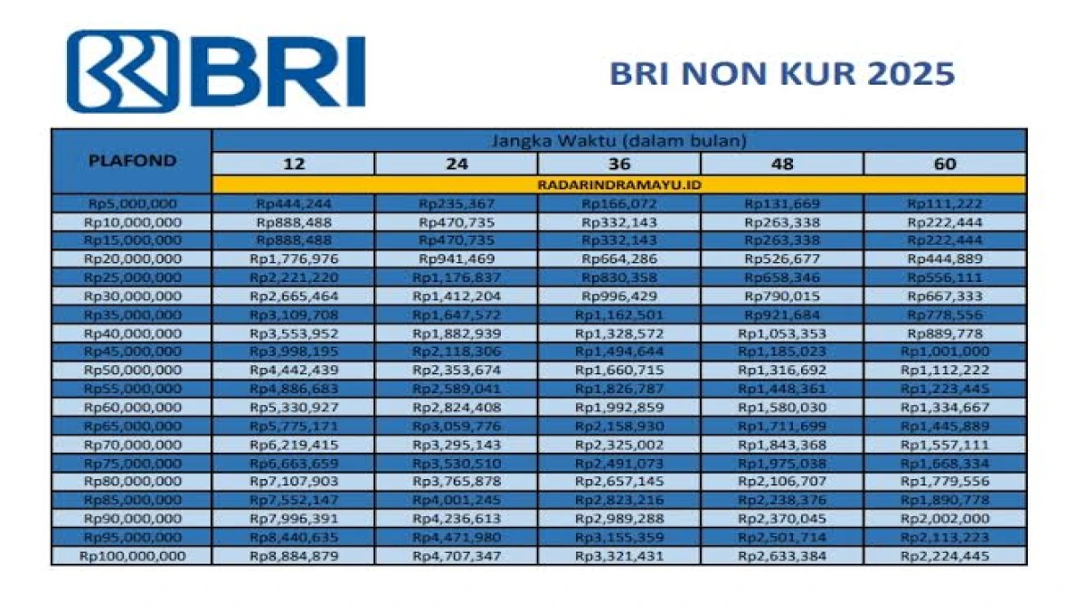 Pinjaman Online BRI Langsung Cair, Solusi Cepat di 2025