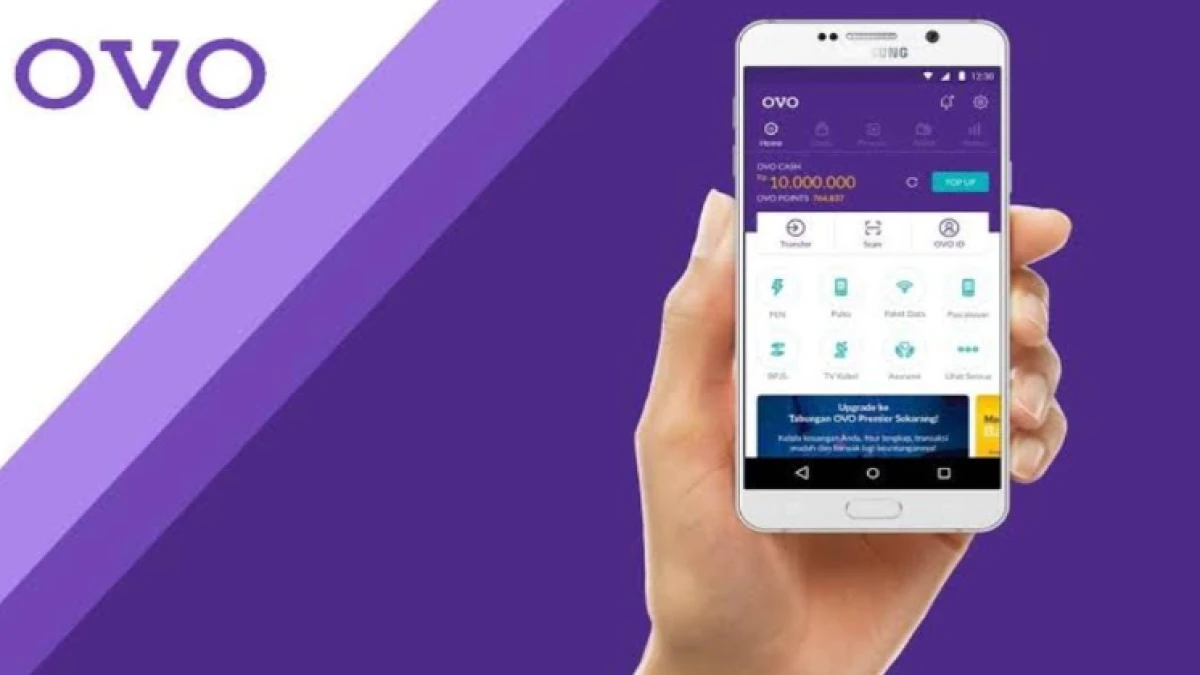Langkah Simple Pinjam Uang di OVO PayLater: Cara Cepat dapat Dana Tambahan
