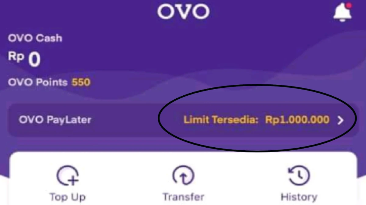 Cara Pinjam Uang di OVO Paylater, Proses Mudah dan Cepat Dicairkan