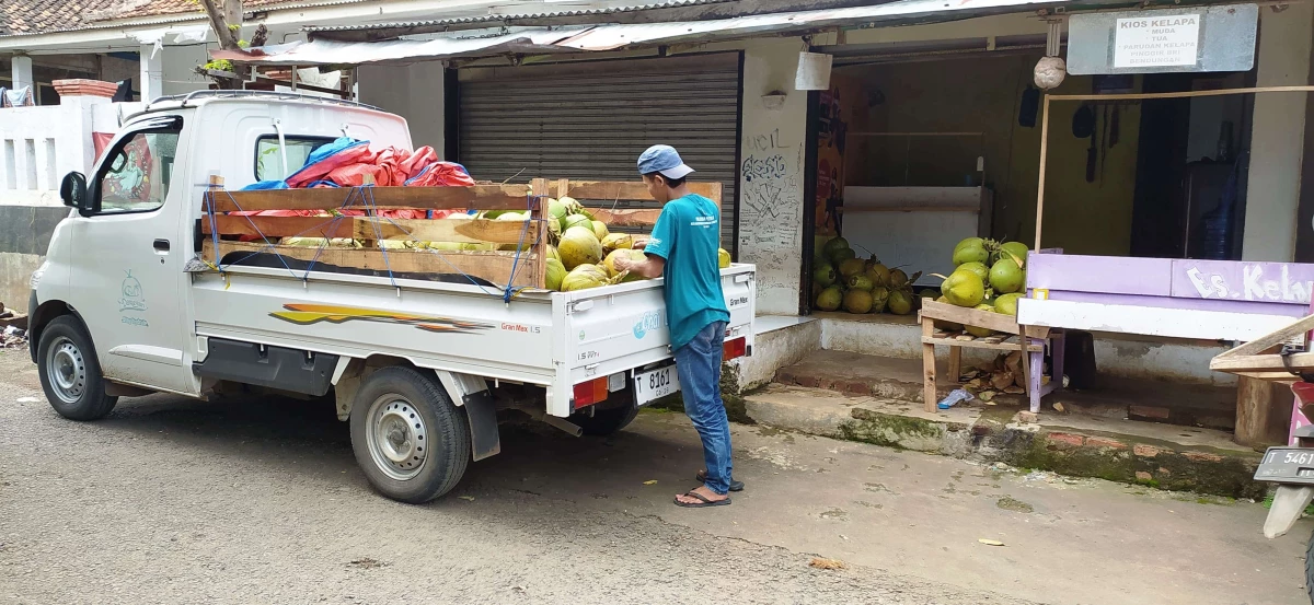 Kelapa Muda