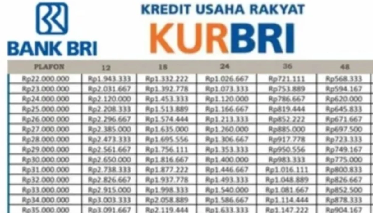 Tabel Angsuran KUR BRI 100 Juta Terbaru 2024! Cek Disini!