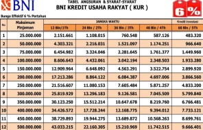Tabel Angsuran KUR BNI Terbaru 2025: Solusi Membuka Usaha Kecil dan Menengah