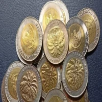 Cara Menjual Uang Koin 1000 Kelapa Sawit di Bank Indonesia
