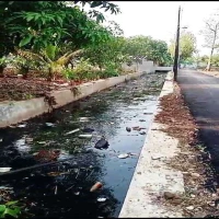 Kampung Palabuan