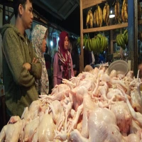 Harga daging ayam mengalami kenaikan menjelang lebaran.