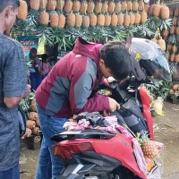 nanas Subang