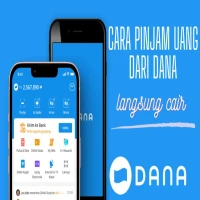 Pinjam Saldo DANA Tanpa Dana Paylater dan Dana Cicil
