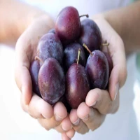 Manfaat Buah Plum untuk Ibu Hamil: Dapat Mengurangi Stres