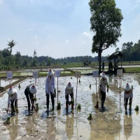 Kabupaten Subang ikut serta dalam Gerakan Tanam Padi Nasional pada Rabu (23/4/2025).