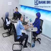 Mengenal Macam-macam Pinjaman BRI untuk Berbagai Kebutuhan